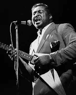 Blues Guitarist Albert King