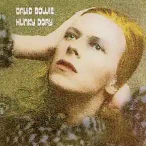 Hunky Dory album cover