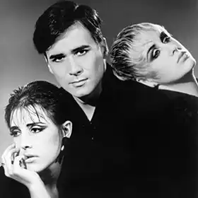 Electronic Pop music group The Human League