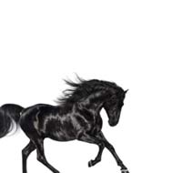 Old Town Road by Lil Nas X single cover