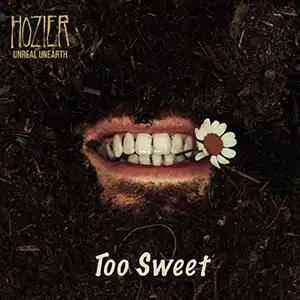 Too Sweet single cover