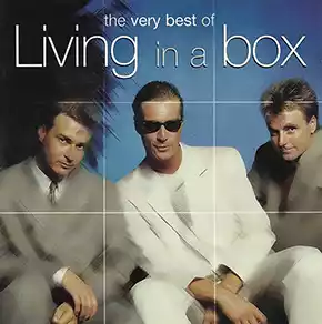 Living in a Box